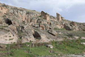 The Gezi Gardens and the Pigeons