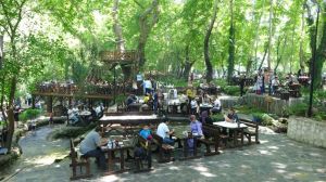 Dağılcak Parkı