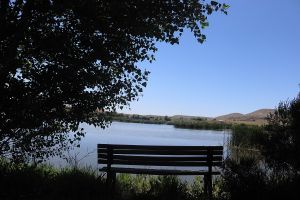 26 Ağustos Tabiat Parkı