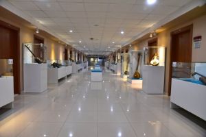The music museum of Ibrahim Alimoğlu