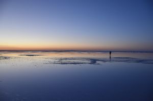 The Salt Lake