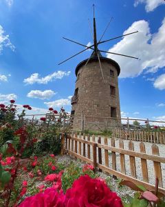 The open-air museum of Altınköy