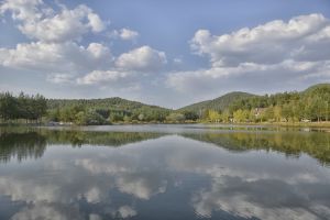 The falcon nature park