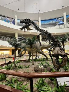 The Museum of Natural History of the Martyrs' Friday