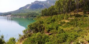 The Lake of the Squirrel