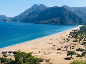 The beach and the beach