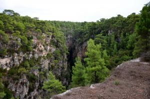 The Canyon of the Pigeon Fly