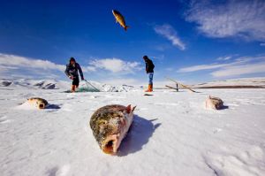 This is Wild Lake Ardahan.