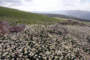 I'm alone on the plateau