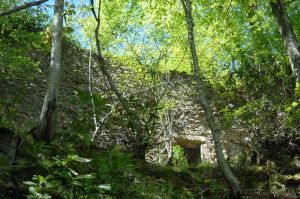 The castle of Ciha
