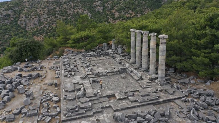 Priene Ancient City 8. Fotoğraf