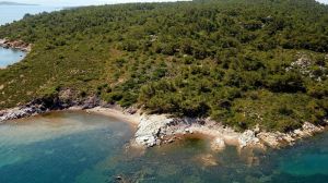 Pınar Adası