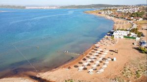 Cunda Patriça (Pateriça) Koyu