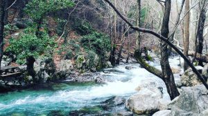 This is Kazdagi National Park