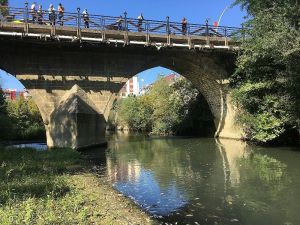The Belt Bridge