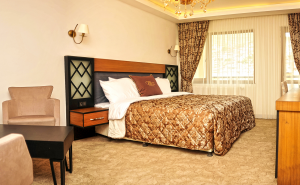 The Big Bayburt Hotel