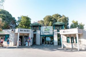 Belgrad Hayvanat Bahçesi (Beo Zoo Vrt)