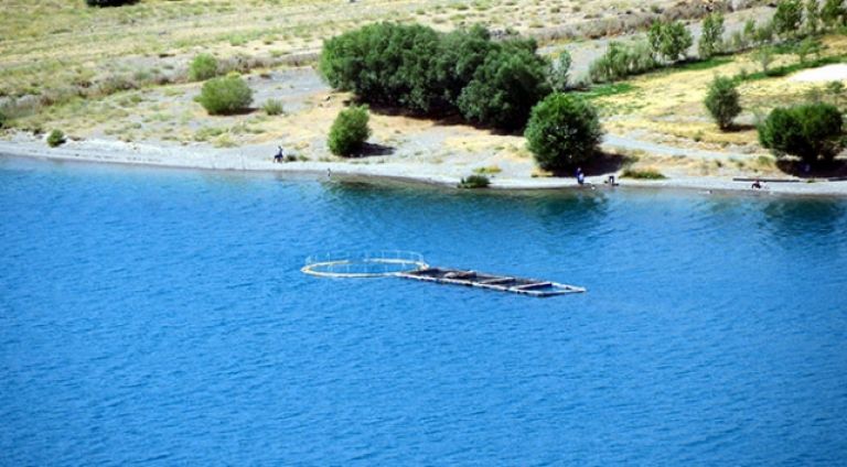 Aygır Gölü 3. Fotoğraf