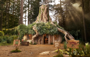 Bataklıkta Bir Gece Kalmak İsteyenler Buraya