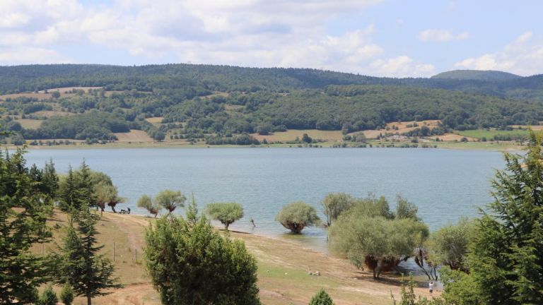 Gölköy Barajı Gölü 4. Fotoğraf