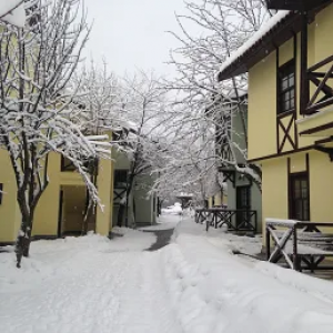 Vonresort Abant