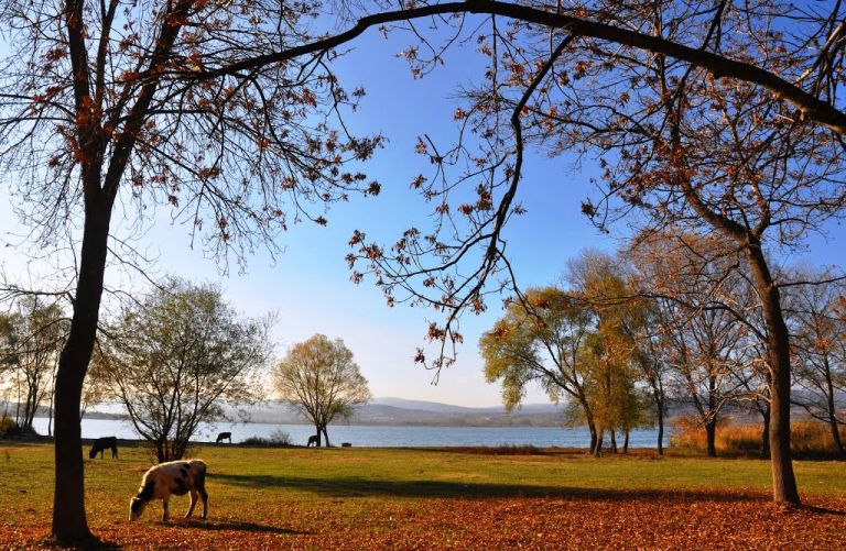 Yeniçağa Gölü 4. Fotoğraf