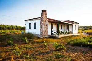 The Belly Garden House