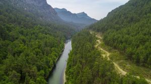 Sığla Ormanı Tabiatı Koruma Alanı