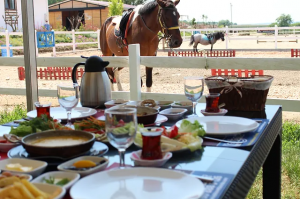 The Nilüfer Equestrian Sports Club