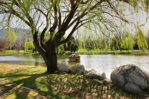 Soğanlı Botanik Parkı