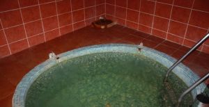 The Aphrodite Baths of Ayvacık