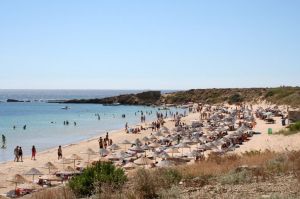 Shores and Bays