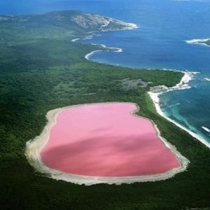 The Pink Lake