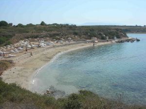 Martı Koyu (Martı Sitesi)