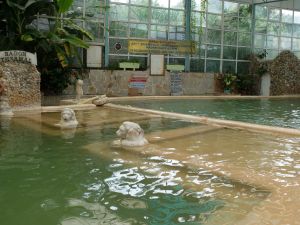 Radon Thermal Spa and Sphere Center