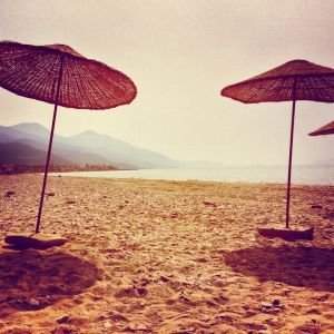 The Venus Beach