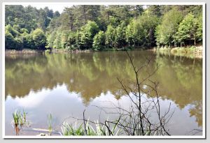 The bottomless lake
