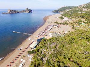 The Yellowing Beach