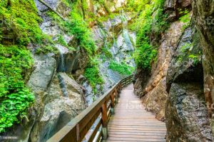 The Canyon of Sorrow