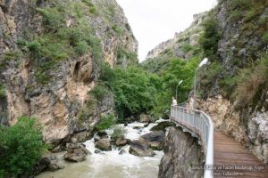 The Short Bush Canyon