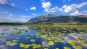 The Lighted Lake