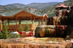 2 Daily seafood and black beans