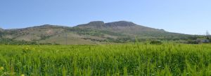 The Mountain of Sulphur