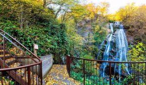 Güzeldere Şelalesi Tabiat Parkı