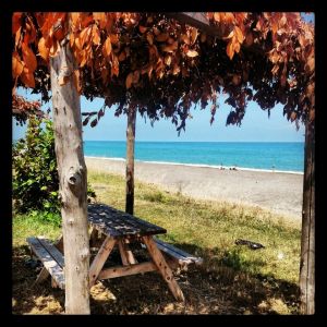 The beach of the river - flat