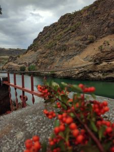 Karakoçan Golan Kaplıcaları