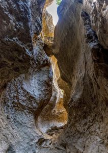 The Black Cat Canyon