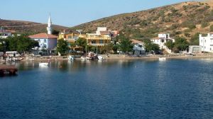 The Fish Village