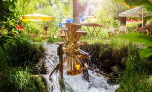 The waterfall family restaurant