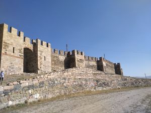 The castle of the Pasins